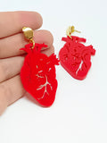 Pendientes Corazón anatómico rojo