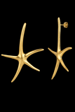Pendientes Tesoritos Estrellas de mar