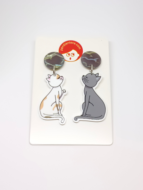 Pendientes Gatos enamorados