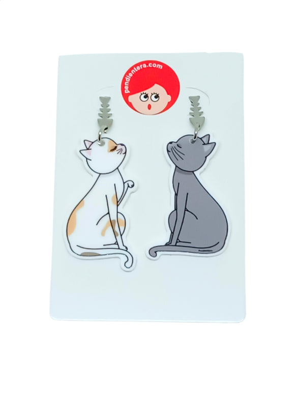Pendientes Gatos enamorados