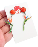 Pendientes Esterlicias