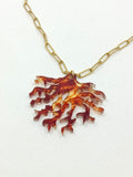 Collar Coral